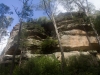 blackheath-bushwalk-048