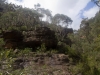 blackheath-bushwalk-055