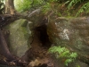 blackheath-bushwalk-073