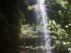 blackheath-bushwalk-089