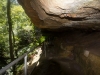 blackheath-bushwalk-097