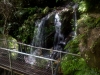 blackheath-bushwalk-102