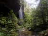 blackheath-bushwalk-127