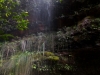 blackheath-bushwalk-130