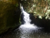 blackheath-bushwalk-136