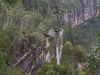 blackheath-bushwalk-195