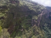 blackheath-bushwalk-217