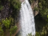 blackheath-bushwalk-221