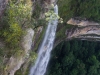 blackheath-bushwalk-237