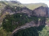 blackheath-bushwalk-241