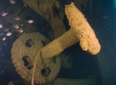 Machinery at George Kermode