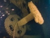 Machinery at George Kermode