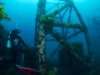 Canberra Deck Structures