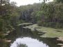 2012-02-28 Parramatta Lake