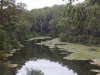 parramatta-lake-025