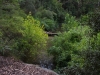 parramatta-lake-036