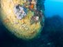 2012-11-03 Pinnacle