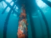 Having fun with fisheye lens under Rye Pier