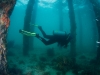 Under Rye Pier