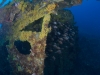 Fish Inside Coogee Bow Section