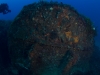 Coogee Boiler