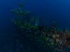 Coogee Stern Section