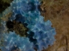 steeles-rocks-015