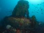 2012-02-04 Sven's Reef