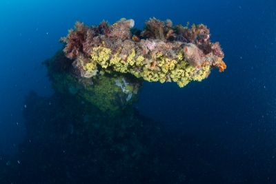 svens-reef-037