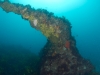 svens-reef-016