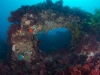svens-reef-029