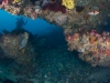 svens-reef-033