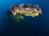svens-reef-037
