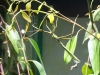 sydney-wildlife-157