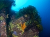 pinnacles-012-2