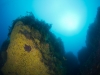 pinnacles-014