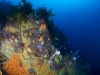 pinnacles-019