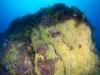 pinnacles-022