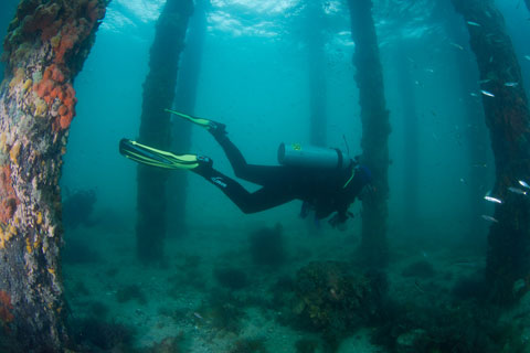 Under Rye Pier