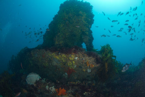 Sven's Reef