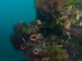 2013-08-11 Flinders Pier