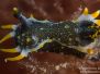 2013-09-29 Blairgowrie Pier
