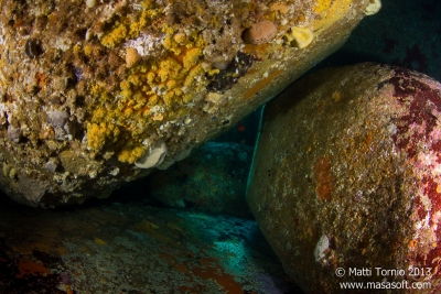 Between the boulders