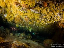Under a ledge