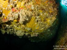 Boulders up close