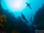 2013-11-04 Eagles Beak