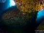 2013-11-05 Eagles Beak