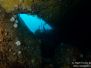 2013-11-05 Humpback
