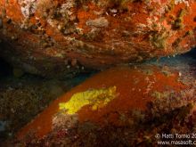 Red boulders